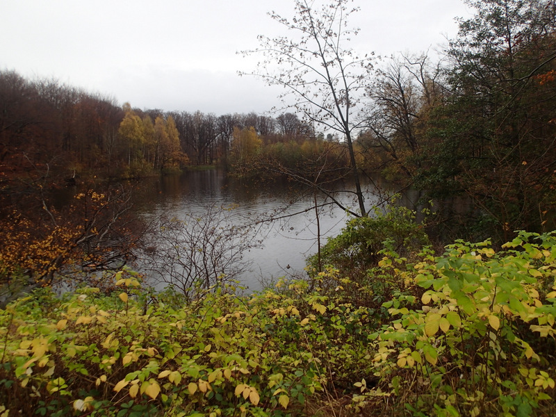 LbeMagasinet Rudersdal Marathon 2013 - Tor Rnnow