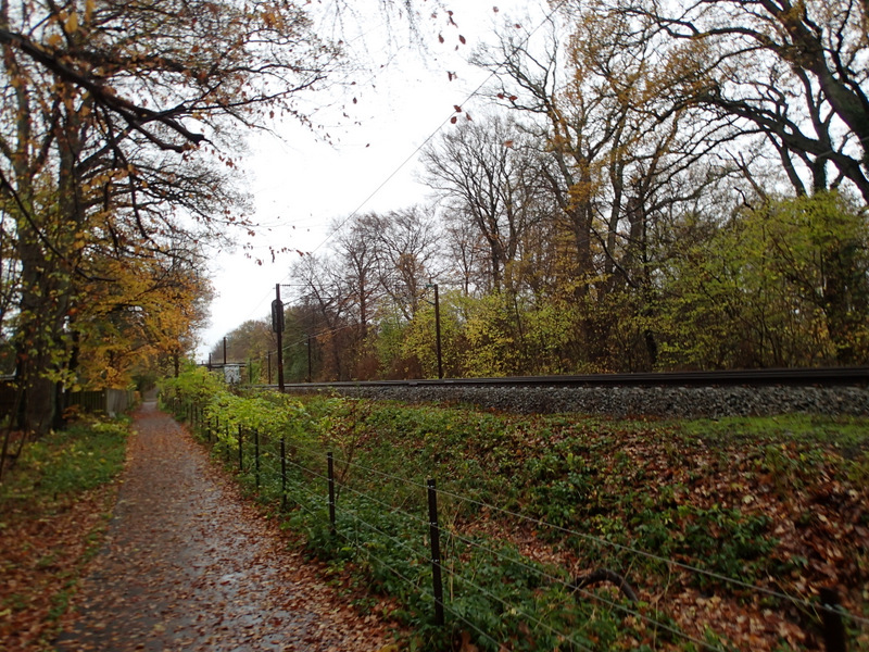 LbeMagasinet Rudersdal Marathon 2013 - Tor Rnnow