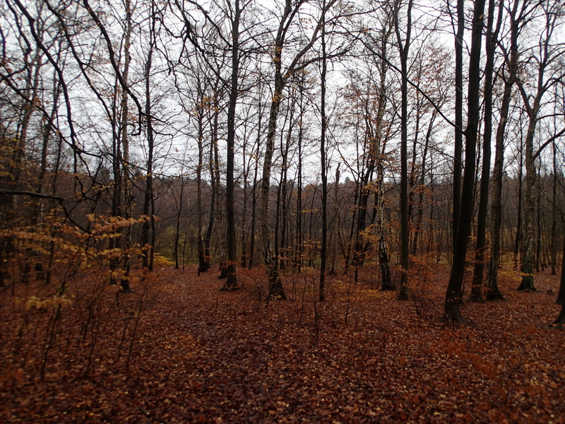 LbeMagasinet Rudersdal Marathon 2013 - Tor Rnnow