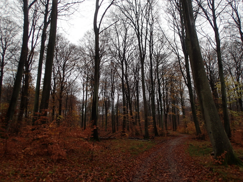 LbeMagasinet Rudersdal Marathon 2013 - Tor Rnnow