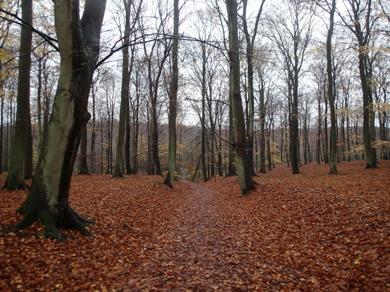 LbeMagasinet Rudersdal Marathon 2013 - Tor Rnnow