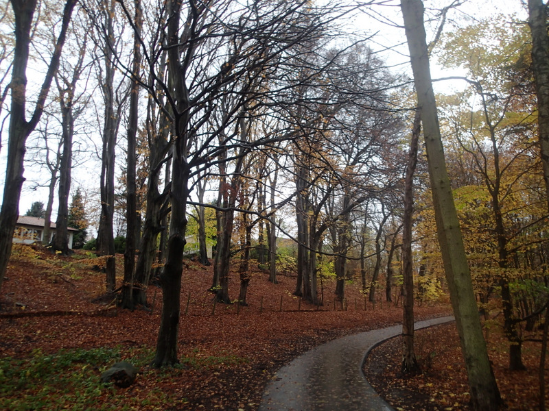 LbeMagasinet Rudersdal Marathon 2013 - Tor Rnnow