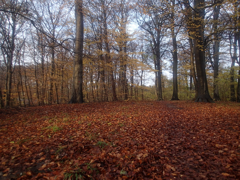 LbeMagasinet Rudersdal Marathon 2013 - Tor Rnnow