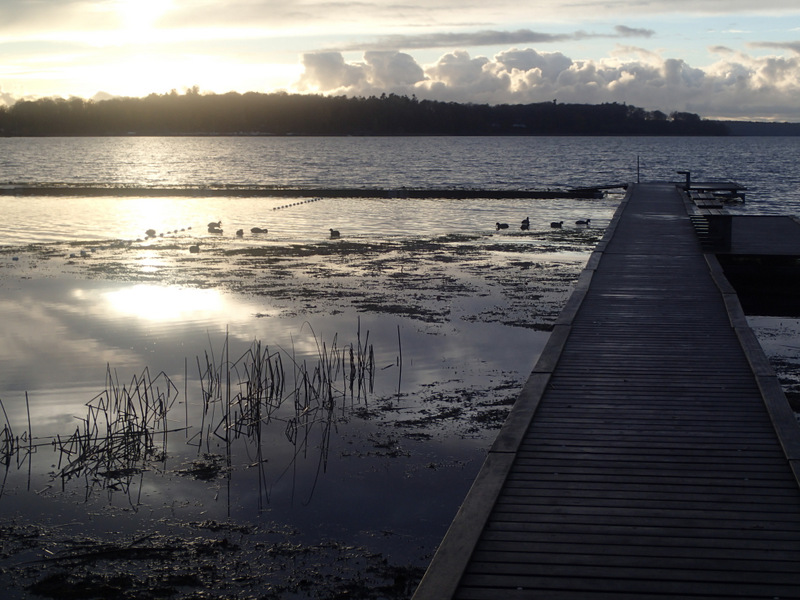 LbeMagasinet Rudersdal Marathon 2013 - Tor Rnnow