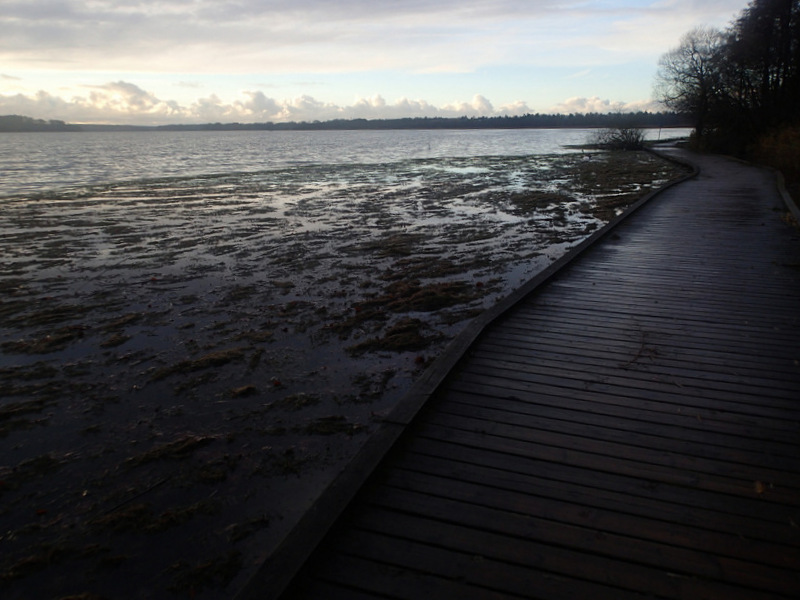 LbeMagasinet Rudersdal Marathon 2013 - Tor Rnnow