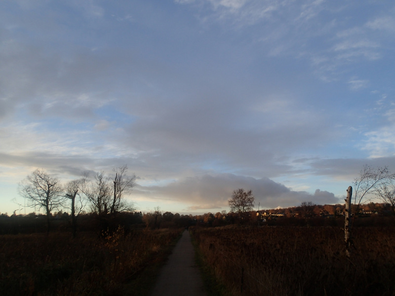 LbeMagasinet Rudersdal Marathon 2013 - Tor Rnnow