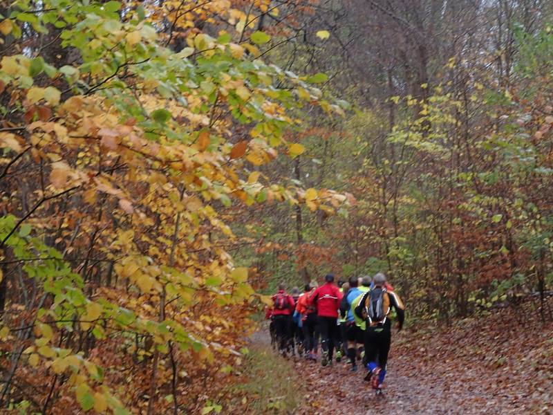 LbeMagasinet Rudersdal Marathon 2013 - Tor Rnnow