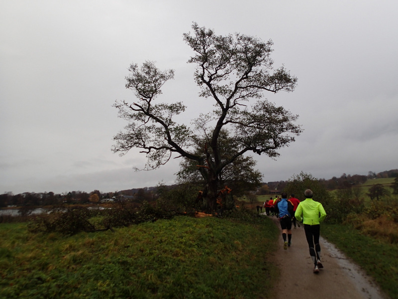 LbeMagasinet Rudersdal Marathon 2013 - Tor Rnnow