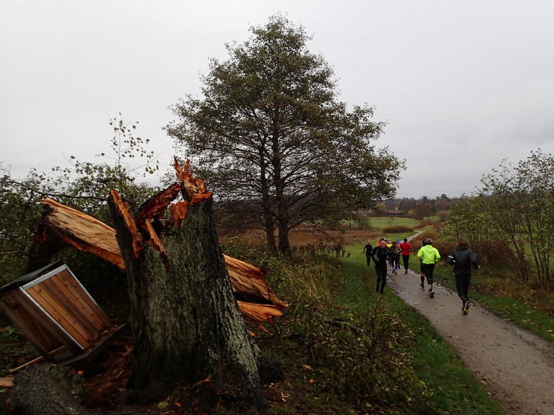 LbeMagasinet Rudersdal Marathon 2013 - Tor Rnnow