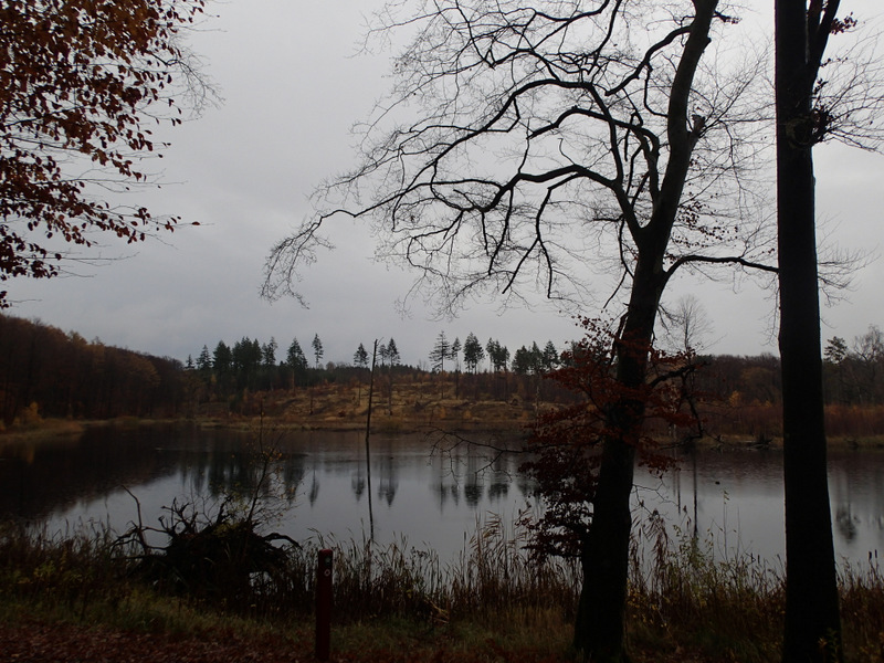 LbeMagasinet Rudersdal Marathon 2013 - Tor Rnnow