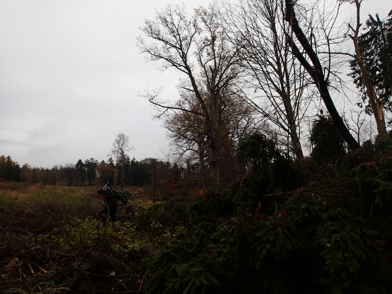 LbeMagasinet Rudersdal Marathon 2013 - Tor Rnnow