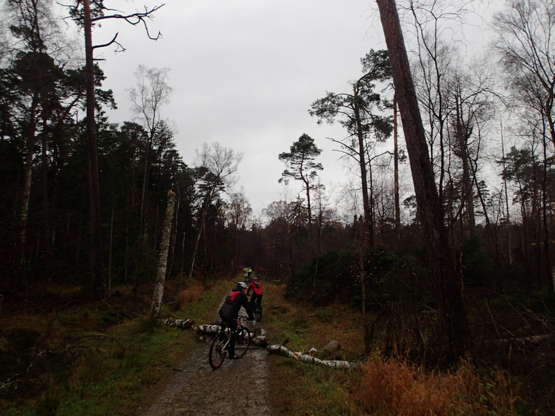 LbeMagasinet Rudersdal Marathon 2013 - Tor Rnnow