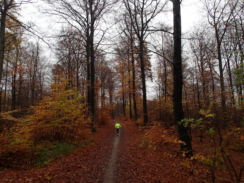 LbeMagasinet Rudersdal Marathon 2013 - Tor Rnnow