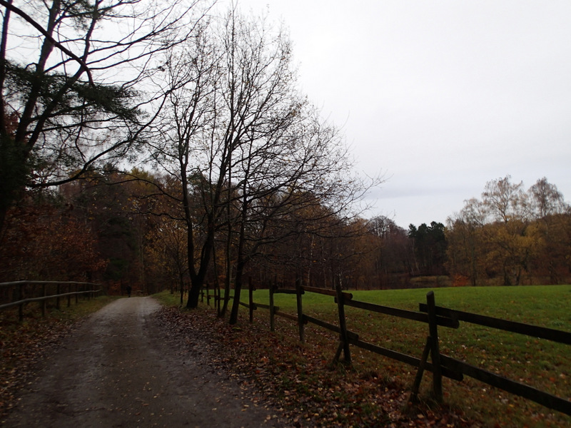 LbeMagasinet Rudersdal Marathon 2013 - Tor Rnnow