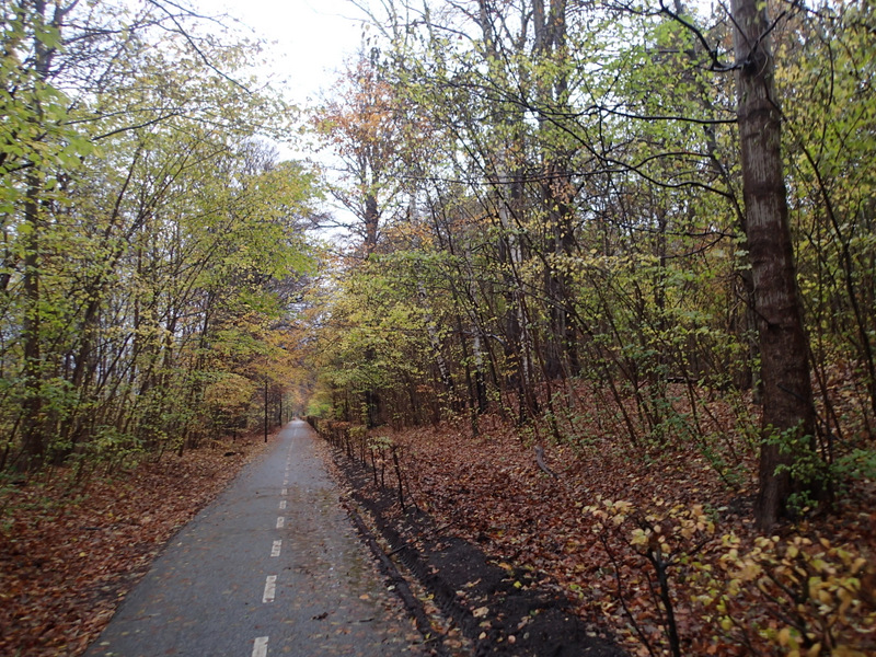 LbeMagasinet Rudersdal Marathon 2013 - Tor Rnnow