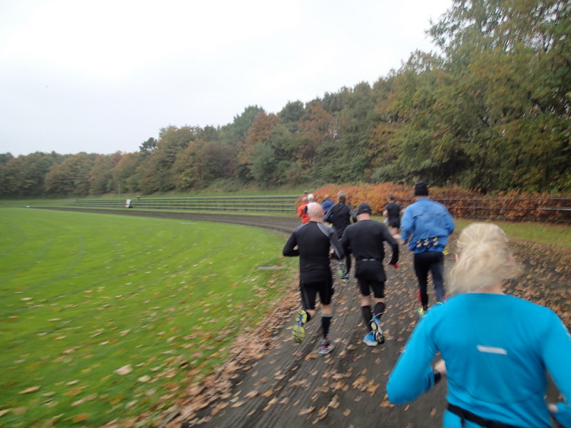 ALOT cph 6 hours run 2014 - Tor Rnnow