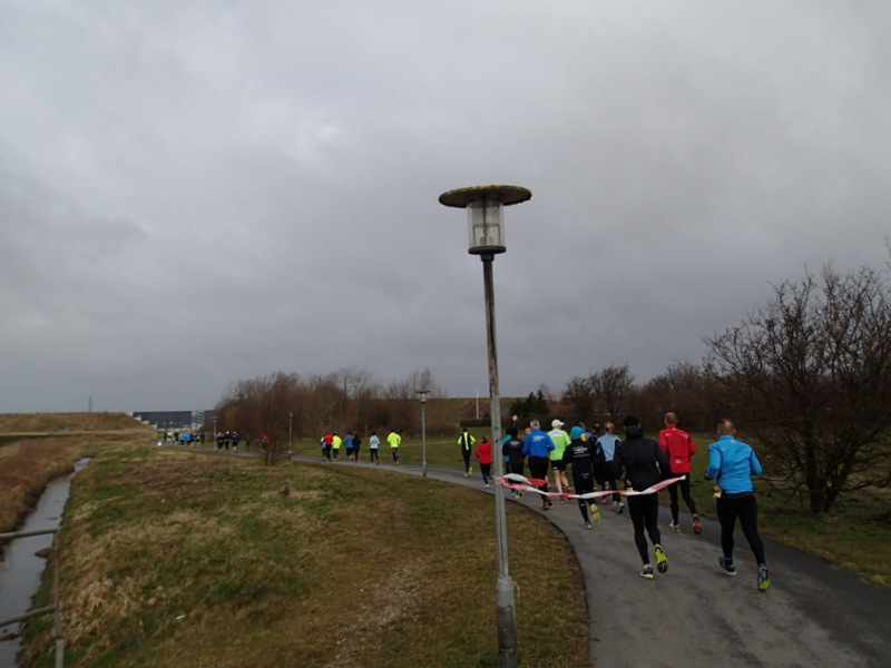Sydkystmarathon Forår 2014 - Greve Trim - Tor Rønnow