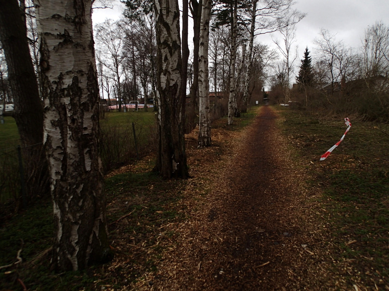 Sydkystmarathon Forår 2014 - Greve Trim - Tor Rønnow
