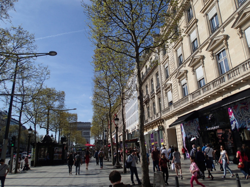 Marathon de Paris 2015 - Tor Rnnow 