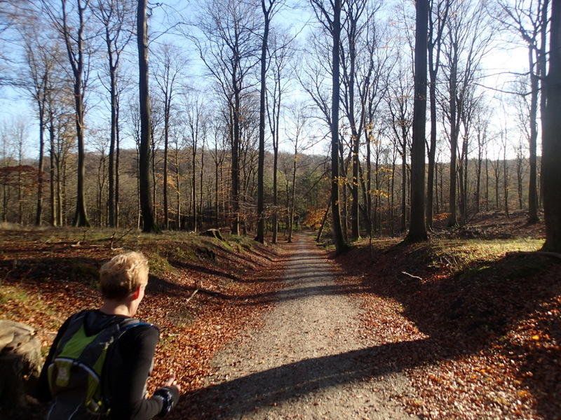 LbeMagasinet Rudersdal Marathon 2015 - Tor Rnnow 