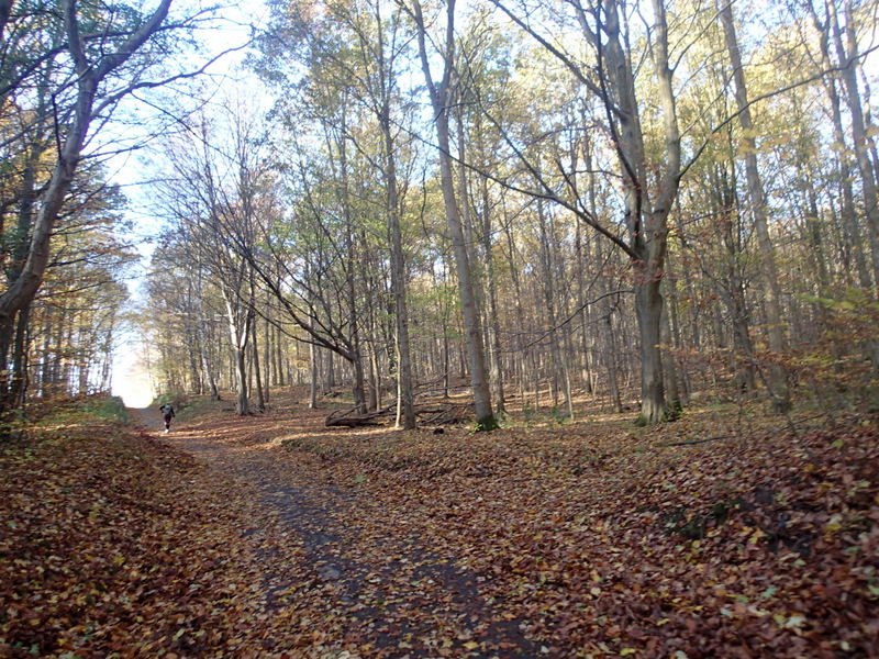 LbeMagasinet Rudersdal Marathon 2015 - Tor Rnnow 