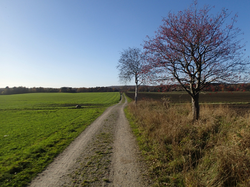 LbeMagasinet Rudersdal Marathon 2015 - Tor Rnnow 