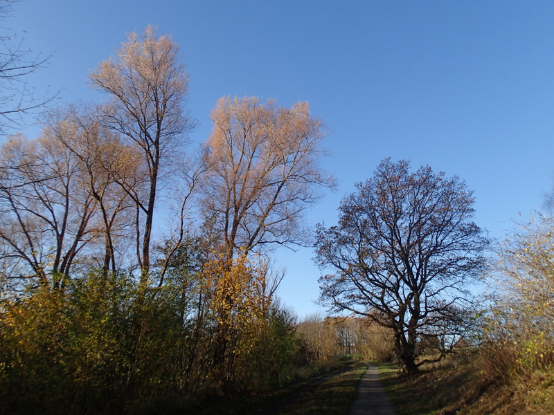 LbeMagasinet Rudersdal Marathon 2015 - Tor Rnnow 