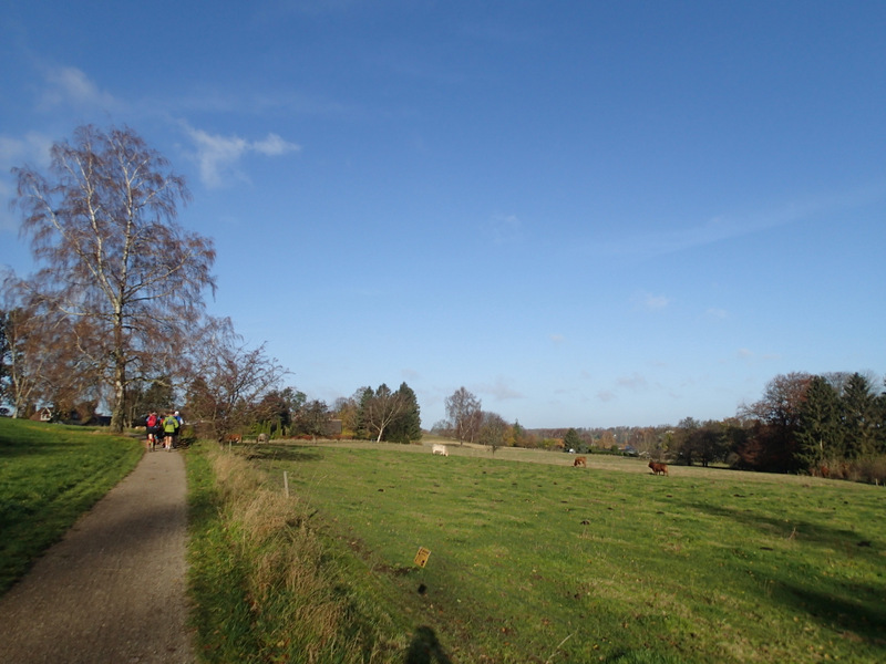 LbeMagasinet Rudersdal Marathon 2015 - Tor Rnnow 