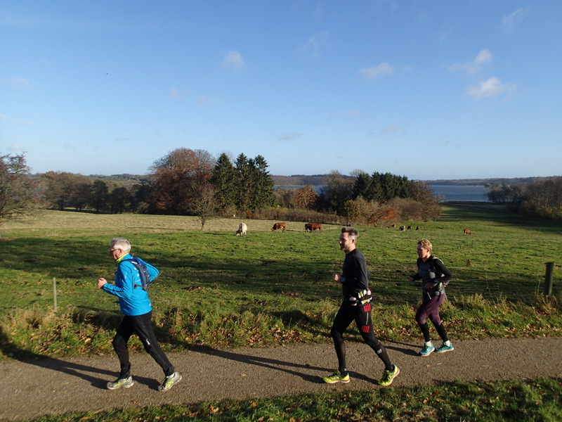 LbeMagasinet Rudersdal Marathon 2015 - Tor Rnnow 