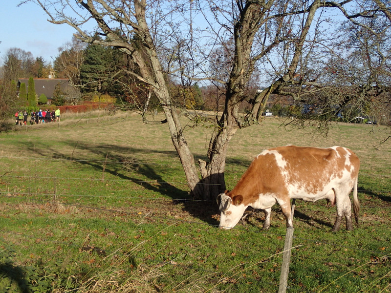 LbeMagasinet Rudersdal Marathon 2015 - Tor Rnnow 