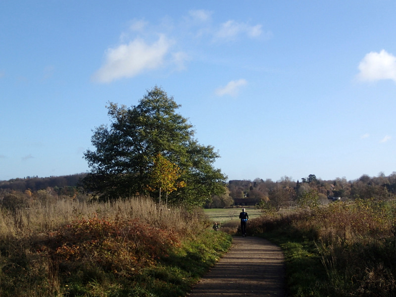 LbeMagasinet Rudersdal Marathon 2015 - Tor Rnnow 