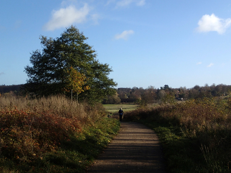 LbeMagasinet Rudersdal Marathon 2015 - Tor Rnnow 