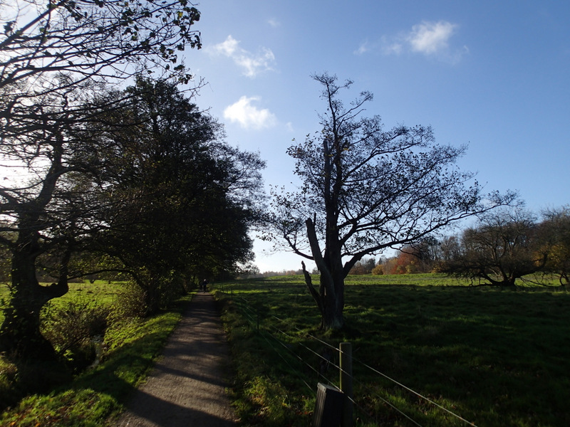 LbeMagasinet Rudersdal Marathon 2015 - Tor Rnnow 