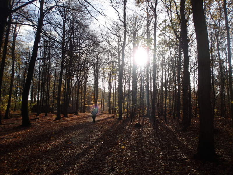 LbeMagasinet Rudersdal Marathon 2015 - Tor Rnnow 