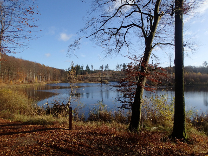 LbeMagasinet Rudersdal Marathon 2015 - Tor Rnnow 