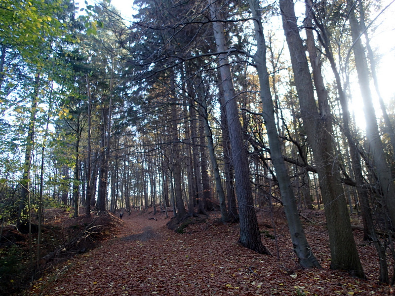 LbeMagasinet Rudersdal Marathon 2015 - Tor Rnnow 