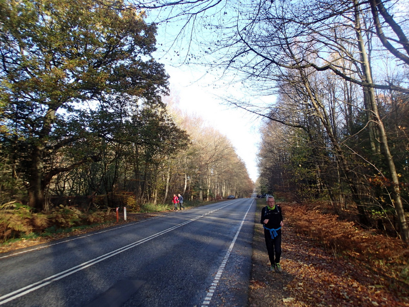 LbeMagasinet Rudersdal Marathon 2015 - Tor Rnnow 