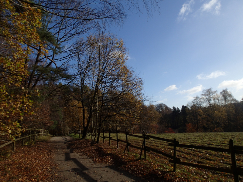 LbeMagasinet Rudersdal Marathon 2015 - Tor Rnnow 