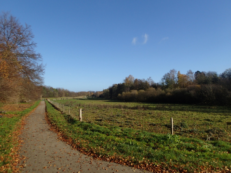 LbeMagasinet Rudersdal Marathon 2015 - Tor Rnnow 