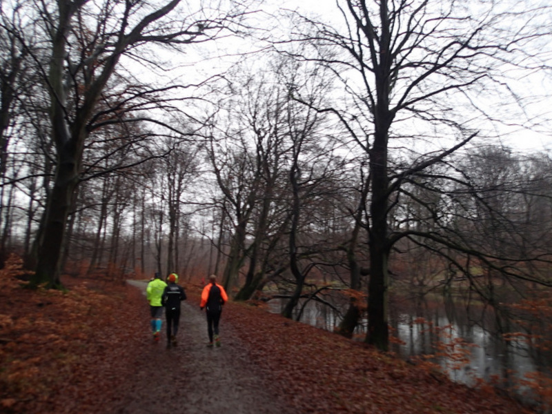 Skodsborg Marathon 25-Nov-2015 