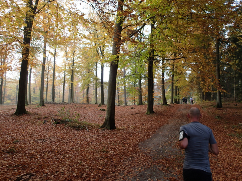 LBEREN Skovmarathon 2015 - Tor Rnnow 