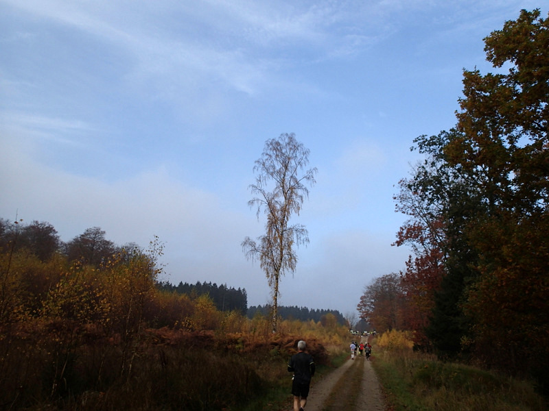 LBEREN Skovmarathon 2015 - Tor Rnnow 