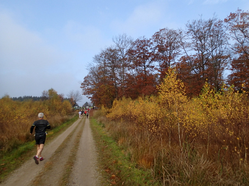 LBEREN Skovmarathon 2015 - Tor Rnnow 