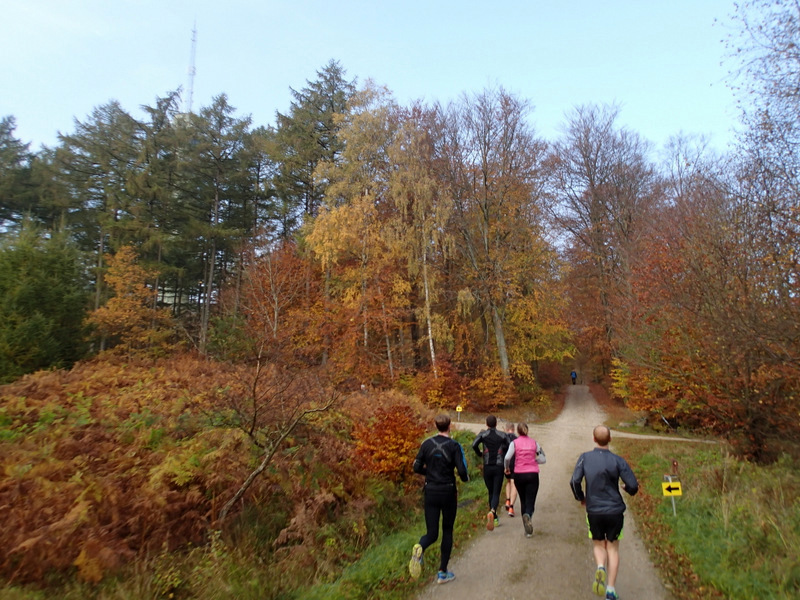 LBEREN Skovmarathon 2015 - Tor Rnnow 