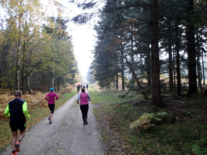 LBEREN Skovmarathon 2015 - Tor Rnnow 