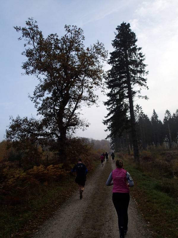 LBEREN Skovmarathon 2015 - Tor Rnnow 