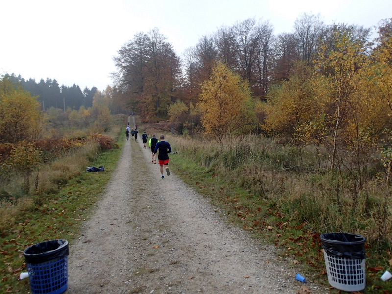 LBEREN Skovmarathon 2015 - Tor Rnnow 