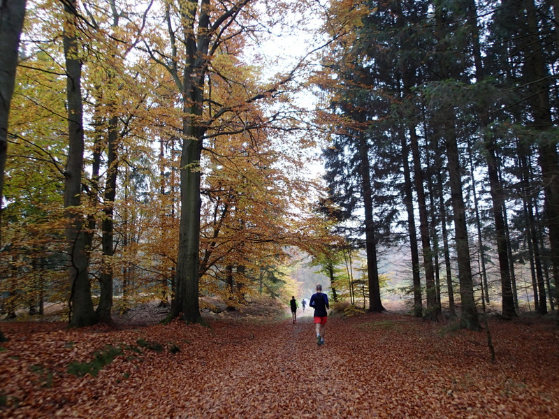 LBEREN Skovmarathon 2015 - Tor Rnnow 