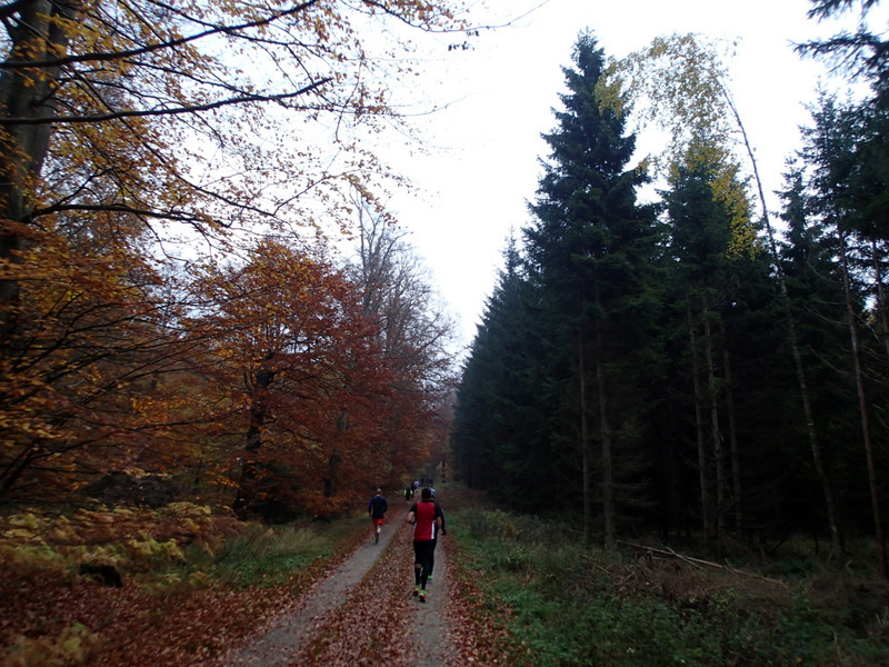 LBEREN Skovmarathon 2015 - Tor Rnnow 