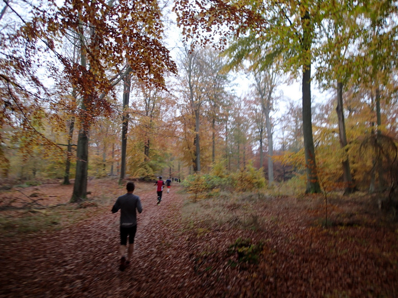 LBEREN Skovmarathon 2015 - Tor Rnnow 